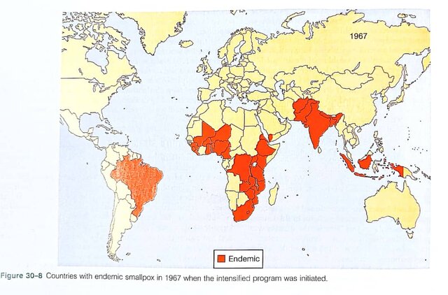 مایهکوبی آبله در ایران و جریمهای که امیرکبیر وضع کرد