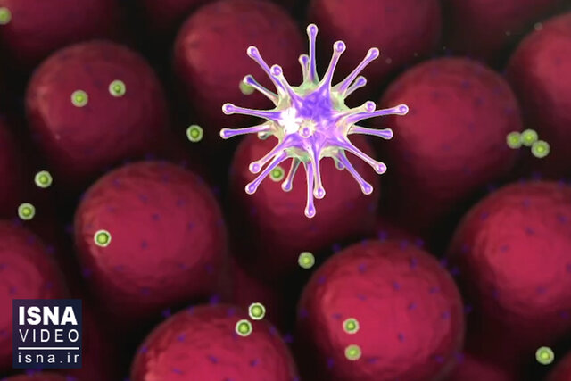 ویدئو / کشف پادتنی جدید برای درمان گونههای مختلف کرونا ویدئو / کشف پادتنی جدید برای درمان گونههای مختلف کرونا