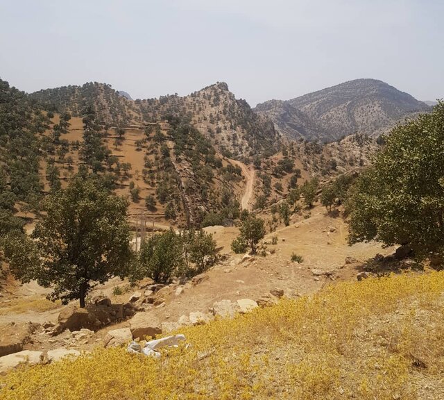 شادمانههای بازگشت به مدرسه در "سرزمین کوههای شگفت"