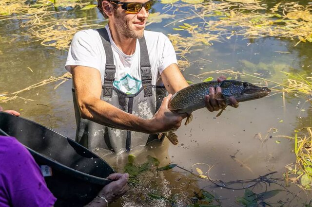 اروپا، در شوک گرمای تاریخی و بحران آب/ مرگ تدریجی رودخانهها در قاره سبز