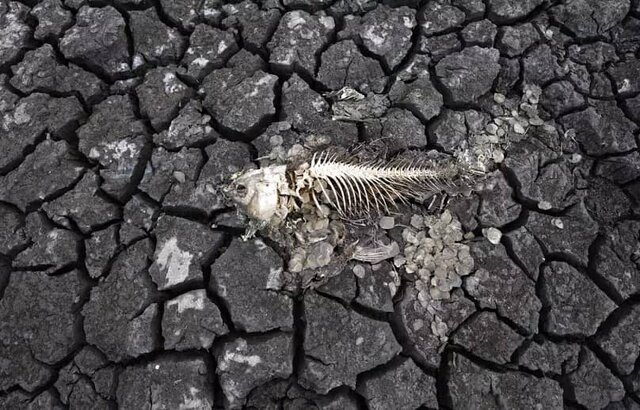 اروپا، در شوک گرمای تاریخی و بحران آب/ مرگ تدریجی رودخانهها در قاره سبز