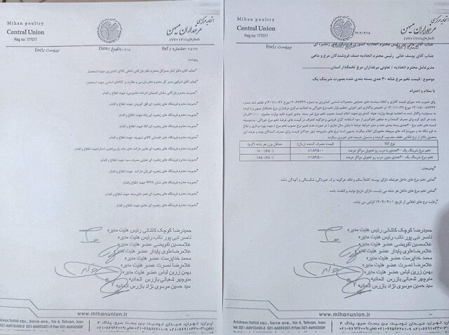 قیمت تخممرغ بستهبندی اعلام شد