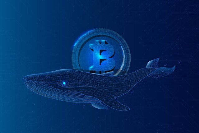 آخرین وضعیت بازار رمزارزها در جهان آخرین وضعیت بازار رمزارزها در جهان