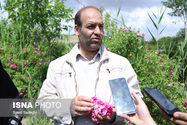 برگزاری جشنواره ای برای مهد گلمحمدی آذربایجان شرقی