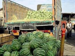 کشاورزان بیش از حد هندوانه را آب ندهند/از وانتی‌ها نخرید