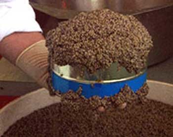 صادرات خاویار به آمریکا برای اولین بار + قیمت خاویار پرورشی و دریایی صادرات خاویار به آمریکا برای اولین بار + قیمت خاویار پرورشی و دریایی