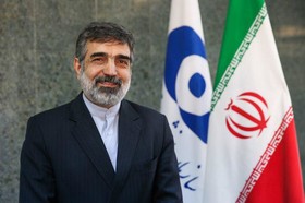 کمالوندی: ژاپن حدود 2 میلیون یورو برای همکاری هسته‌ای به ایران اختصاص داده است 