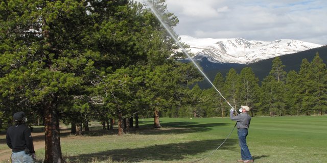 توصیههای کارشناسان برای محلولپاشی درختان توصیههای کارشناسان برای محلولپاشی درختان