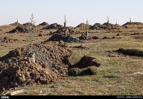 زمین‌خواری با همدستی برخی مسوولان!