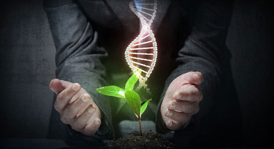 ترویج زیستفناوری در بین نوجوانان آینده اقتصادی کشور را تضمین میکند ترویج زیستفناوری در بین نوجوانان آینده اقتصادی کشور را تضمین میکند