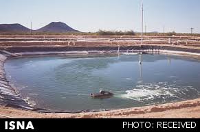 عکس تزئینی است نیشابور یکی از سه شهرستان برتر خراسان رضوی در حوزه آبزی پروری