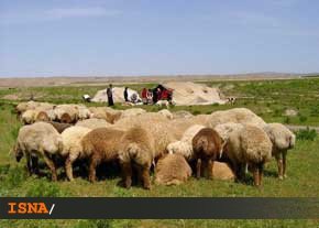 از تب خونریزی دهنده تب کریمه-کنگو
