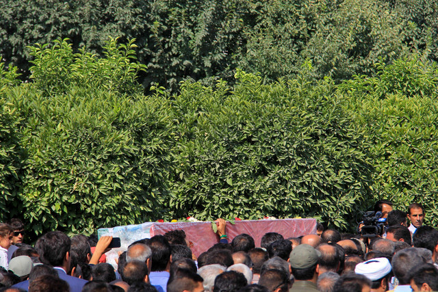 استاندار هرمزگان خواستار برخورد جدی قوه قضاییه با شکارچیان متخلف شد استاندار هرمزگان خواستار برخورد جدی قوه قضاییه با شکارچیان متخلف شد