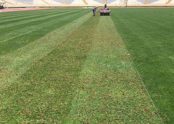 عکس تزئینی است جوانان اسدآبادی نیازمند زمین چمن آبرومند در استادیوم آزادی هستند