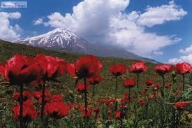 بلندترین کوه ایران، معطل اعتبار دولت است