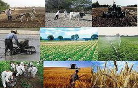 جایگاه دوم تولیدات کشاورزی کشور متعلق به فارس است