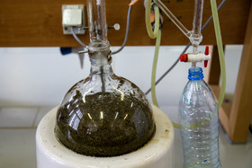 پژوهشکده گیاهان دارویی جهاد دانشگاهی 