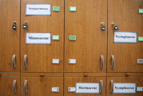 پژوهشکده گیاهان دارویی جهاد دانشگاهی 