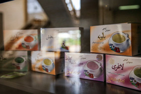 پژوهشکده گیاهان دارویی جهاد دانشگاهی 