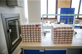 پژوهشکده گیاهان دارویی جهاد دانشگاهی 