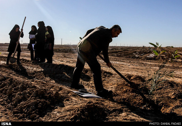 عکس آرشیوی است نگهداری از نهال کاشته شده، مهمتر از کاشت آن است