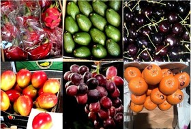 ورود مجدد میوه‌های قاچاق و دستور وزیر