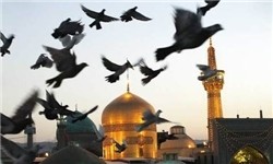 «میقات‌الرضا»های جدید راه‌اندازی می‌شود