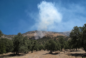 سال ۹۷ هیچ مجوزی برای بهره‌برداری از جنگل‌ها صادر نمی‌شود/شرمنده مردم خوزستان هستیم