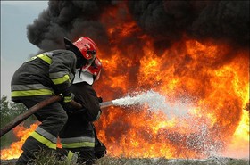 با تداوم روند کنونی 60 سال دیگر جنگل در ایران نخواهیم داشت