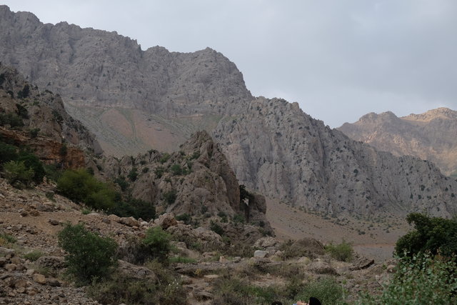 واکنش رئیس فراکسیون محیط زیست مجلس به شهادت دو محیط بان زنجانی واکنش رئیس فراکسیون محیط زیست مجلس به شهادت دو محیط بان زنجانی