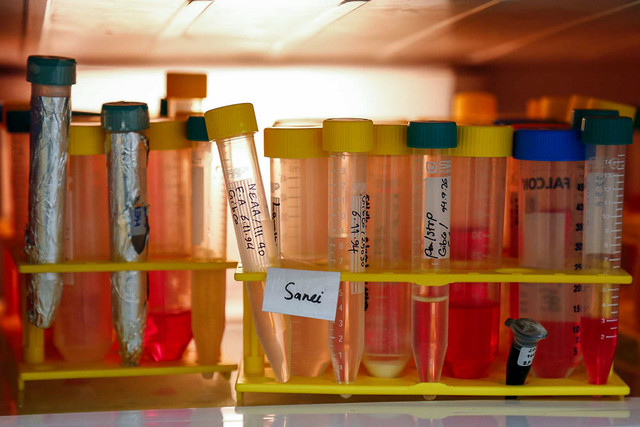 معرفی مدلهای موفق ترویجی دانشآموزی در حوزه زیستفناوری معرفی مدلهای موفق ترویجی دانشآموزی در حوزه زیستفناوری