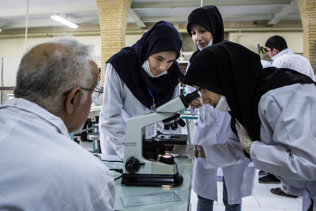 عکس تزئینی و آرشیوی است کارشناسان حوزه آزمایشگاهی با فرآیند انتقال ژن آشنا میشوند