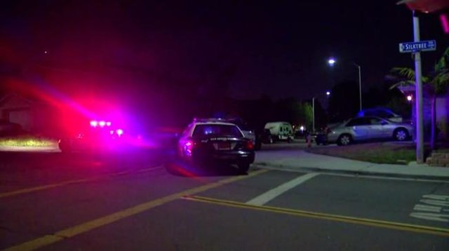 بار دیگر تیراندازی به دو پلیس آمریکایی