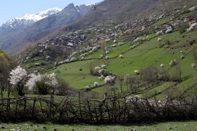 اینجا فقط صدای کوهستان شنیده می‌شود و آواز پرندگان...