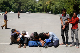 دستگیری 113 سارق و مالخر در تهران