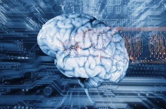 دانشگاه شریف، میزبان متخصصان علوم شناختی کشور دانشگاه شریف، میزبان متخصصان علوم شناختی کشور