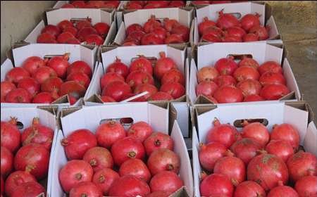 قیمت انار در بازار ۳ برابر صادرات