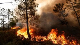 آتش سوزی 100 هکتار از جنگلها و مراتع"هفت برارون"بویراحمد
