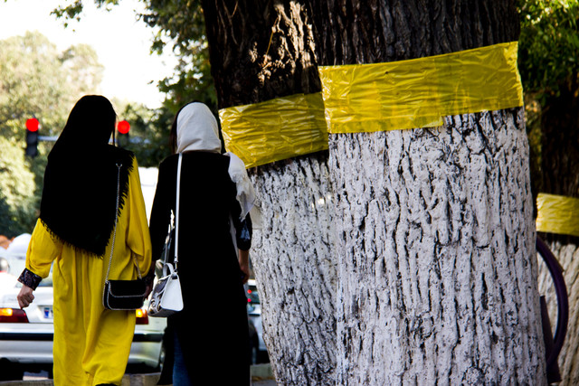 عکس تزئینی است احیای دوباره «سازمان ملی جوانان»؛ مطالبه اصلی جوانان