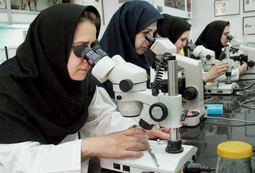 خیز تعاونیهای دانش بنیان برای توسعه اشتغال