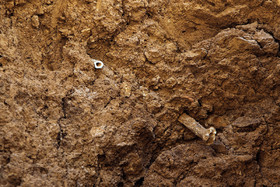 کشف فسیلهای ۵۰ هزار ساله - محلات