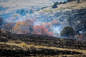 حریق در سرخه‌حصار