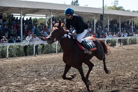 آغاز هفته هفتم مسابقات اسبدوانی کورس پاییزه - زمستانه گنبدکاووس