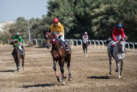 معرفی برترین‌های مسابقات کورس سوارکاری پائیزه کشور در گنبدکاووس