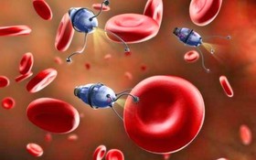 تزریق نانوربات‌ها به سوسک‌ها