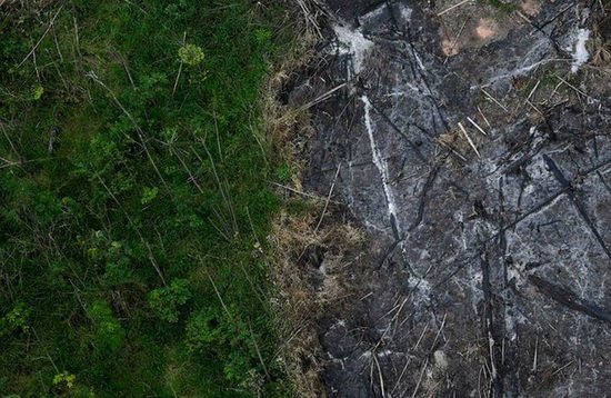 جنگل‌های آمازون با شدتی بی‌سابقه می‌سوزند