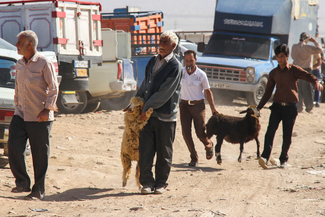 برخورد با مراکز فروش و کشتار دام در مشهد+ آدرس مراکز مجاز برخورد با مراکز فروش و کشتار دام در مشهد+ آدرس مراکز مجاز
