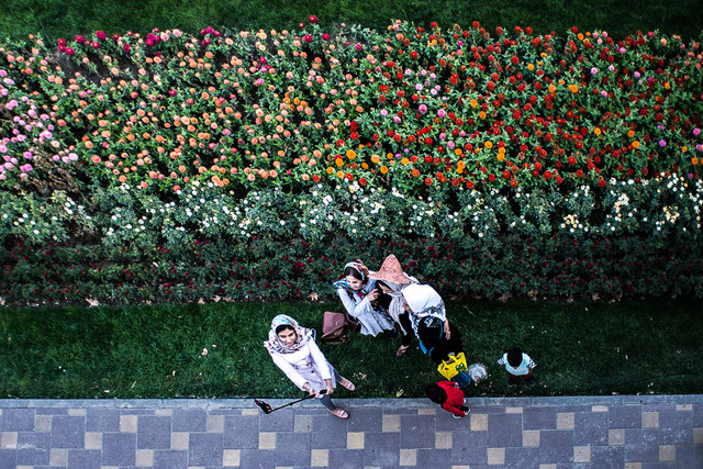 حمایت از صنعت گل و گیاه نقش زیادی در اشتغال زایی دارد