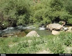 ونایی جان دوباره می‌گیرد؟!‌