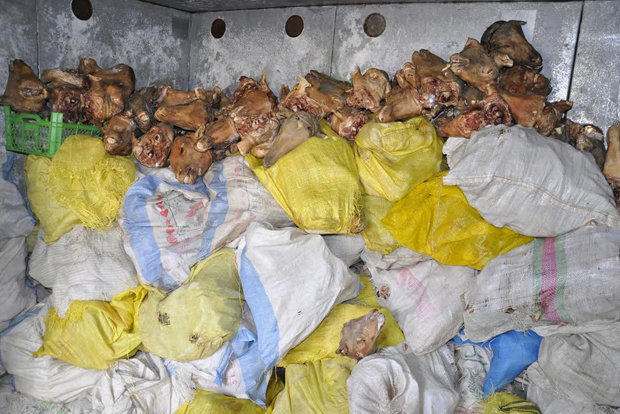 عکس آرشیوی است جمع آوری ۷۰۰ کیلوگرم مواد غذایی تاریخ گذشته در مهریز